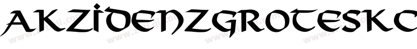 AkzidenzGroteskCE Bo字体转换